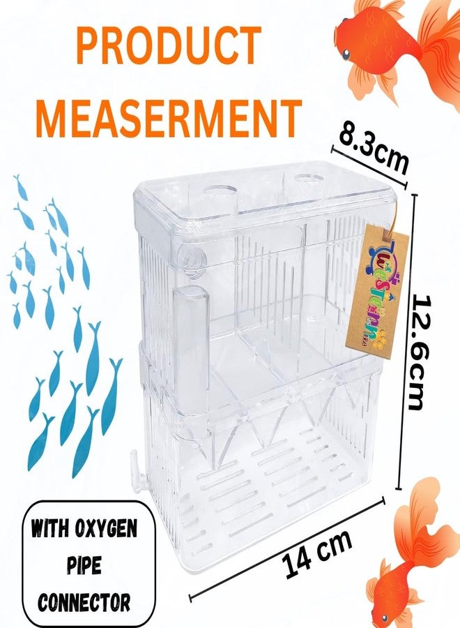 Western Era Fish Isolation Chamber Offers a Secure & efficient Method for segregating Fish Within an Aquarium. Its Adaptable Design Allows for Customized use as an Aquarium Isolation Chamber (Small) - Image 4